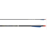 EASTON Komplettpfeil Apollo 0950Packung a 12 Stck