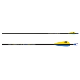 EASTON Komplettschfte Carbon one 0600Packung a 12 Stck, inkl. 235 Federn und G Pin Nock, ohne Spitzen