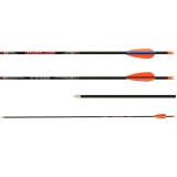 AVALON Komplettpfeile Carbon Tyro 4.2