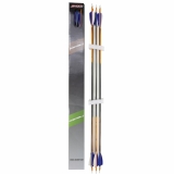 SHOCQ Komplettpfeil Inceptor 4.2Packung a 12 St�ck