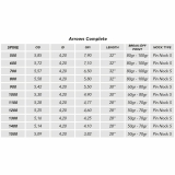 SHOCQ Komplettpfeil Inceptor 4.2Packung a 12 St�ck