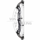 HOYT Compound Concept X 37, (26,0"-29,0") 65-75% Let Off